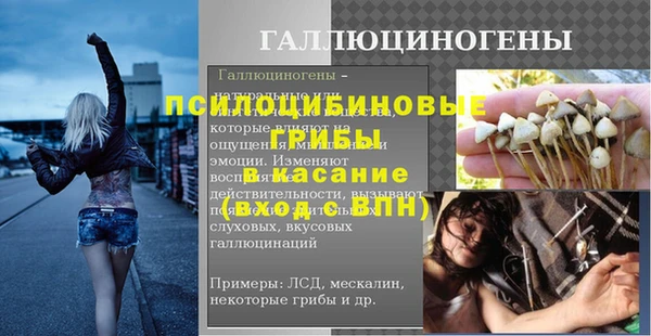ешки Медвежьегорск