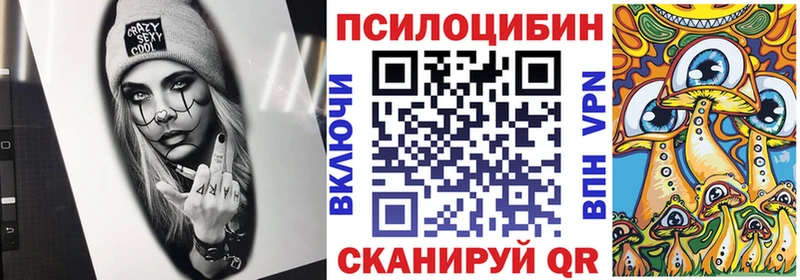 Галлюциногенные грибы Cubensis  Купить закладки  Юрьев-Польский 